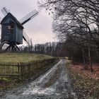 Bockwindmühle von der Papenburg