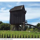 Bockwindmühle von der Papenhorst, Hessenpark