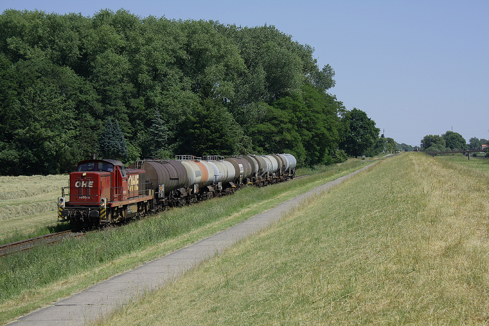 ''Bockzug'' am 28.06.2010 in Fahrenholz