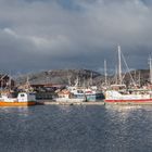 Bodø Fischereihafen