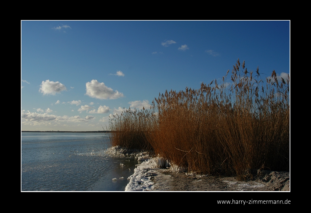 Bodden