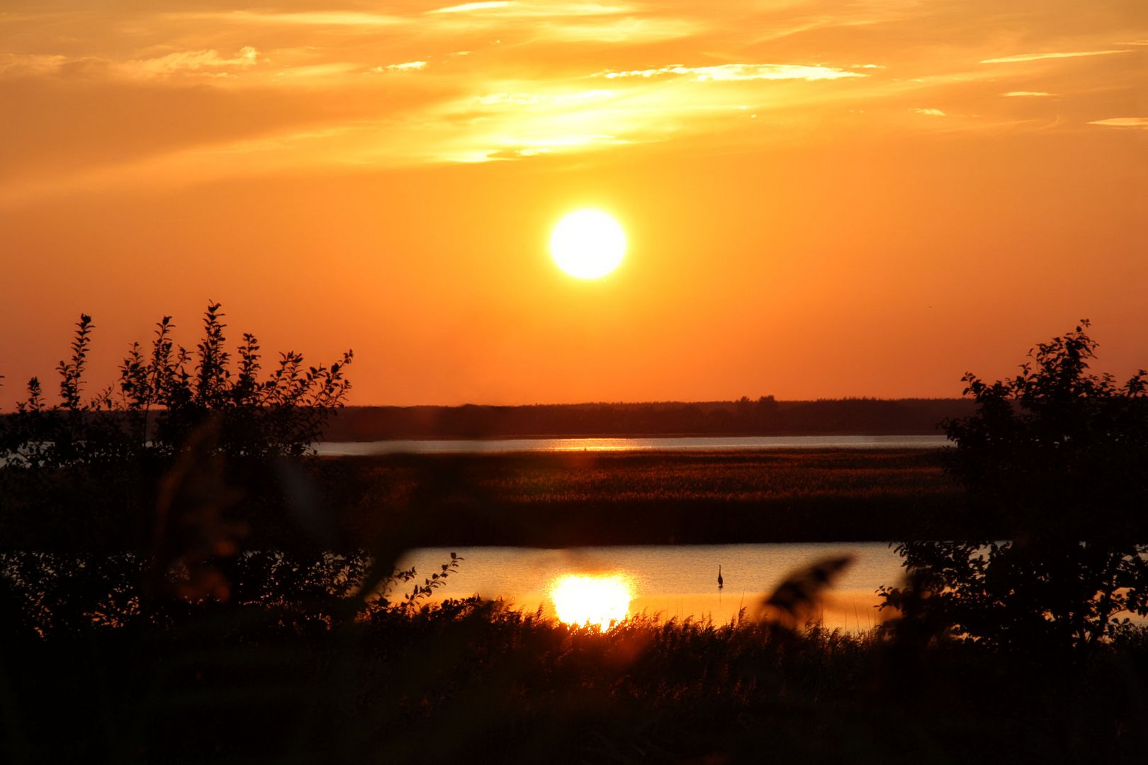 Bodden am Abend