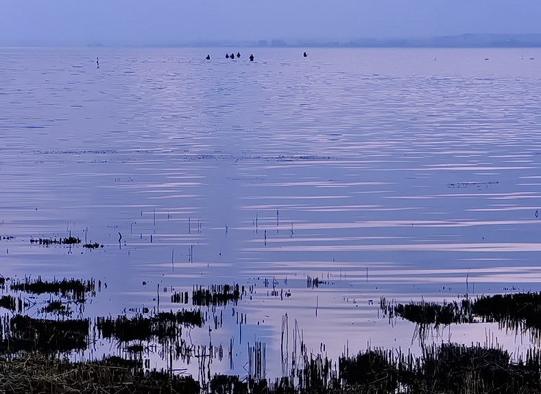 Bodden -Angler...