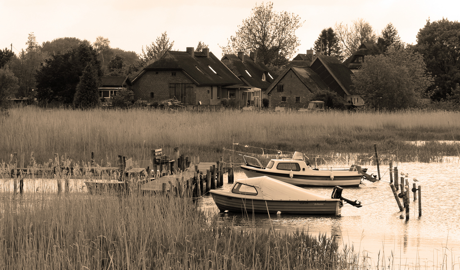 Bodden auf Rügen im Mai 2012