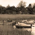 Bodden auf Rügen im Mai 2012