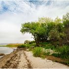 Bodden bei Dranske, Rügen