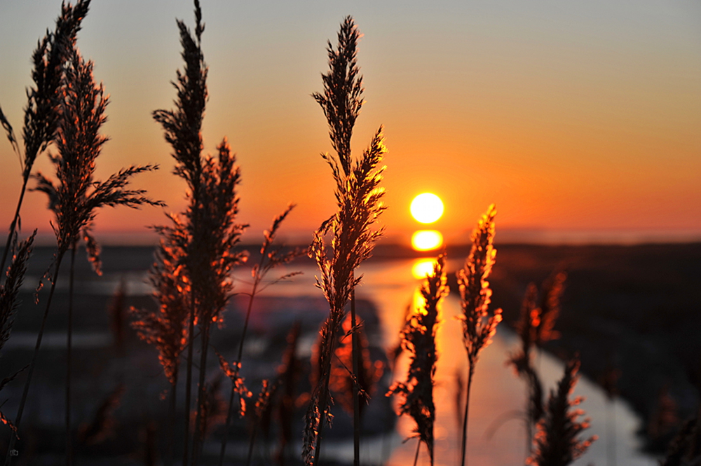 Bodden-Blick