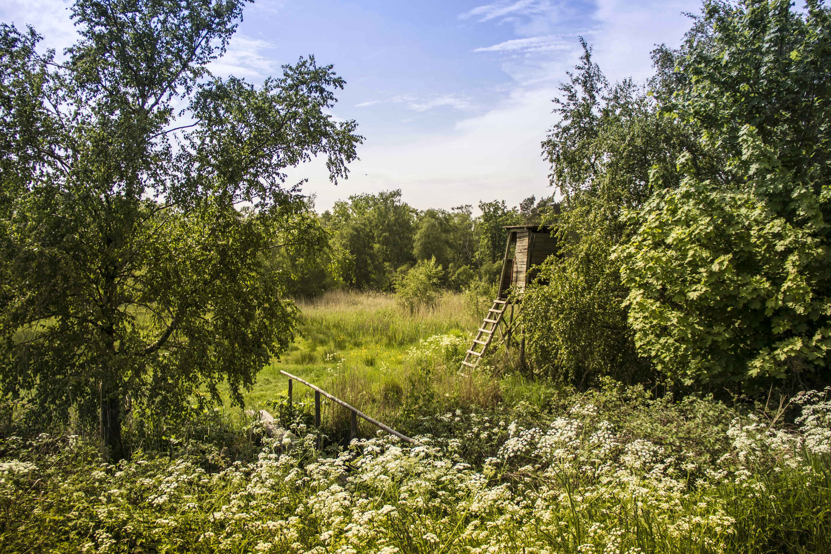 Bodden - Darß