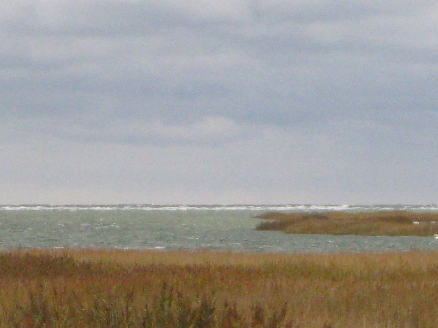 bodden