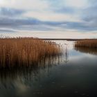 Bodden, Fischland