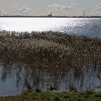 Bodden im Gegenlicht