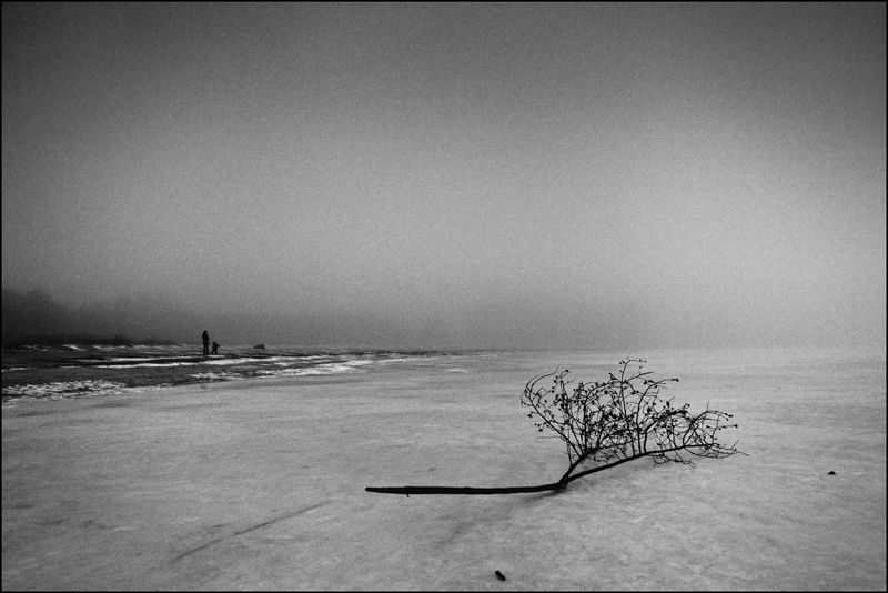 Bodden im Winter