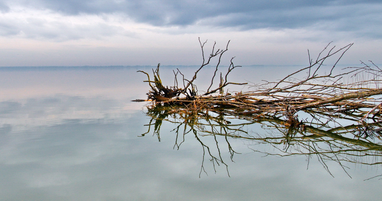 Bodden-Impression