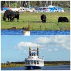 " BODDEN - IMPRESSIONEN "