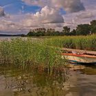 Bodden-impressionen