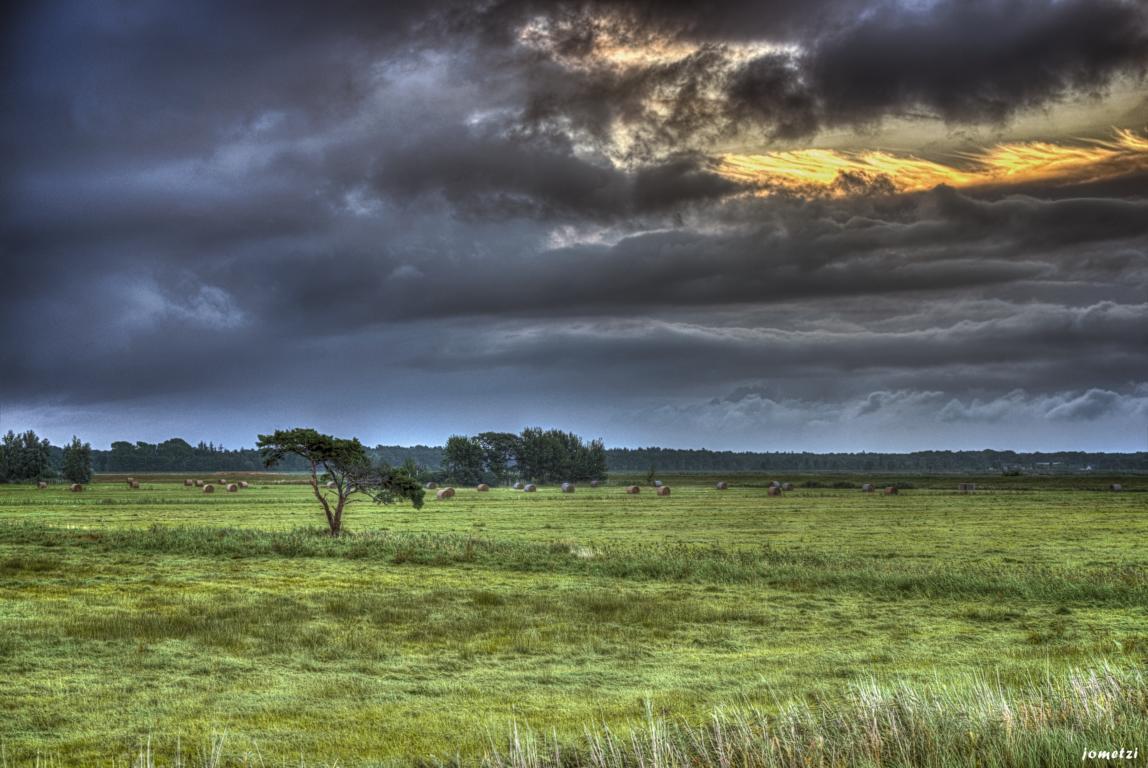 Bodden-Landschaft 4