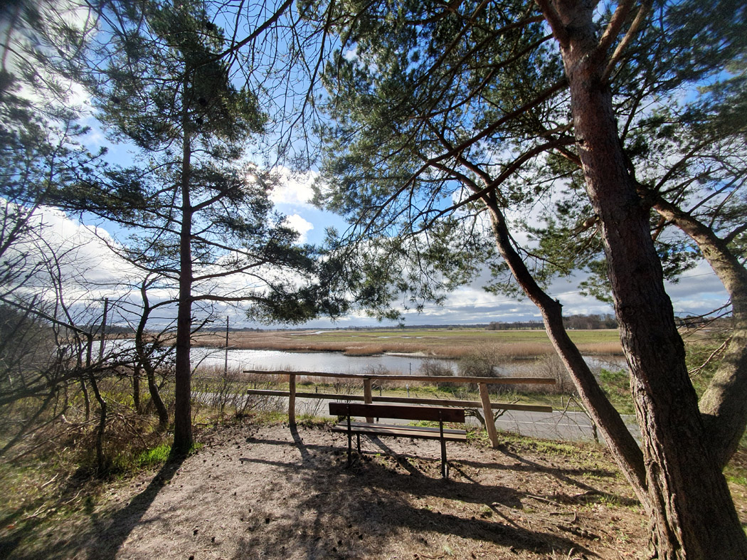 Bodden Landschaft auf der Draß_02