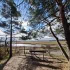 Bodden Landschaft auf der Draß_02