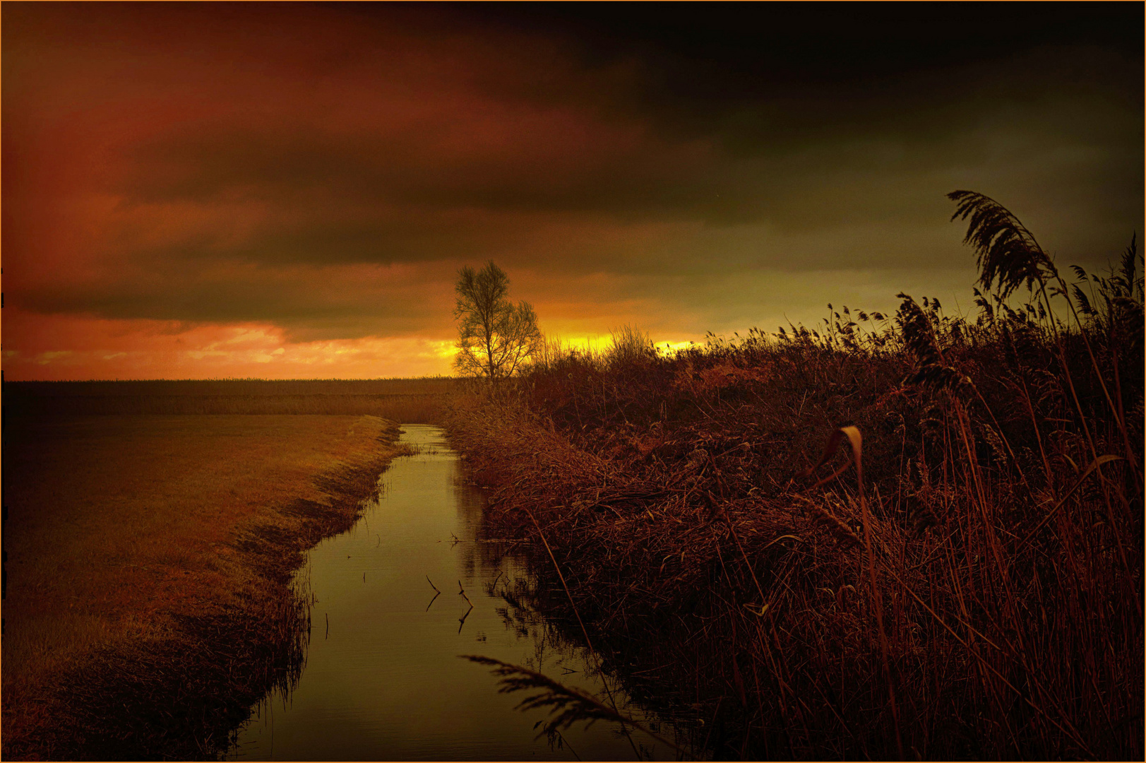 Bodden-Landschaft1