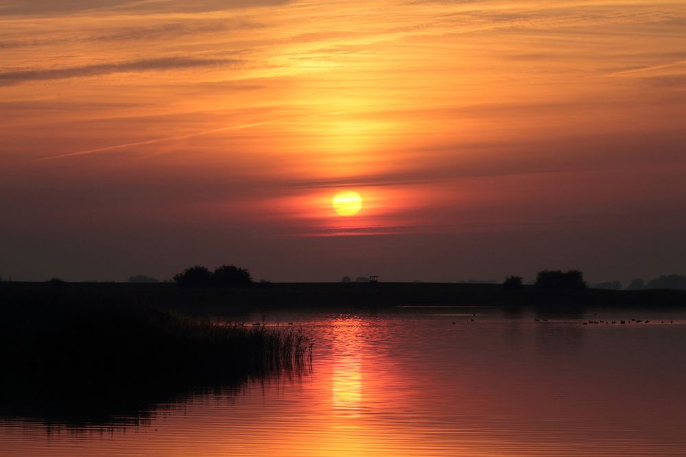 ~ Bodden-Romantik ~