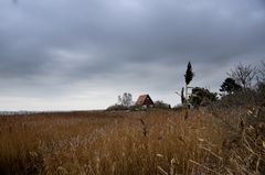 Bodden-seite   von Vitte/Insel Hiddensee 