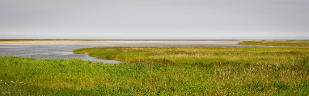 Bodden (T)-Räume