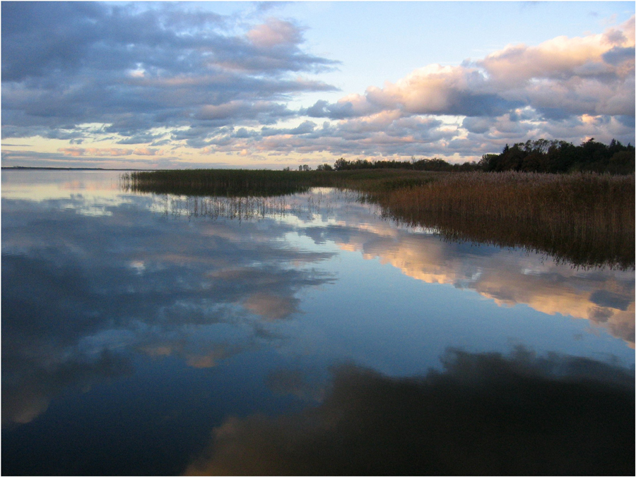 Bodden vor 2 Wochen