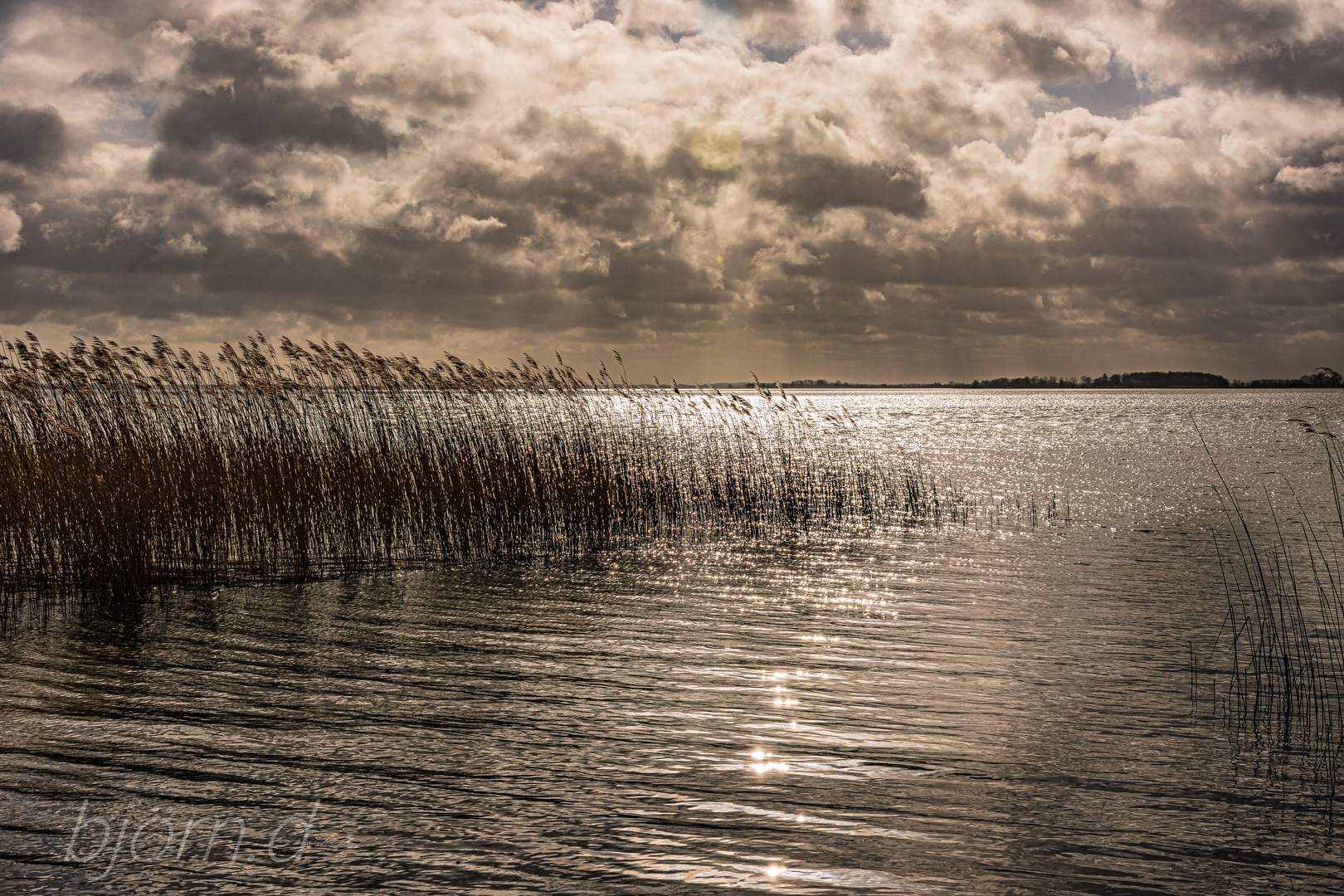 Boddenblick