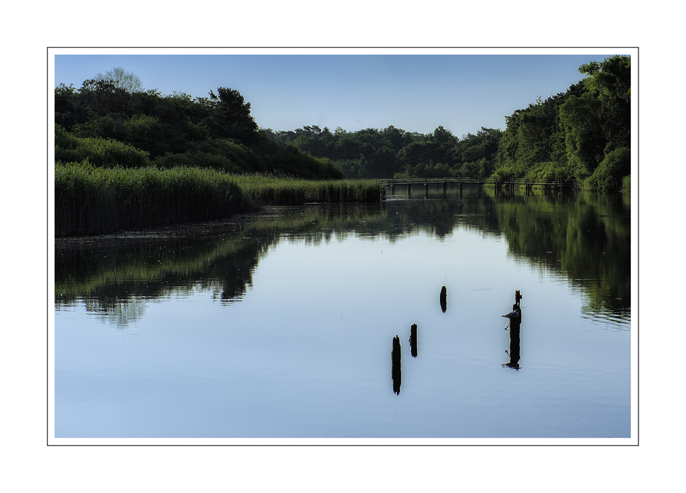 Boddenblick