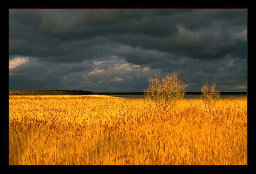 boddenblick