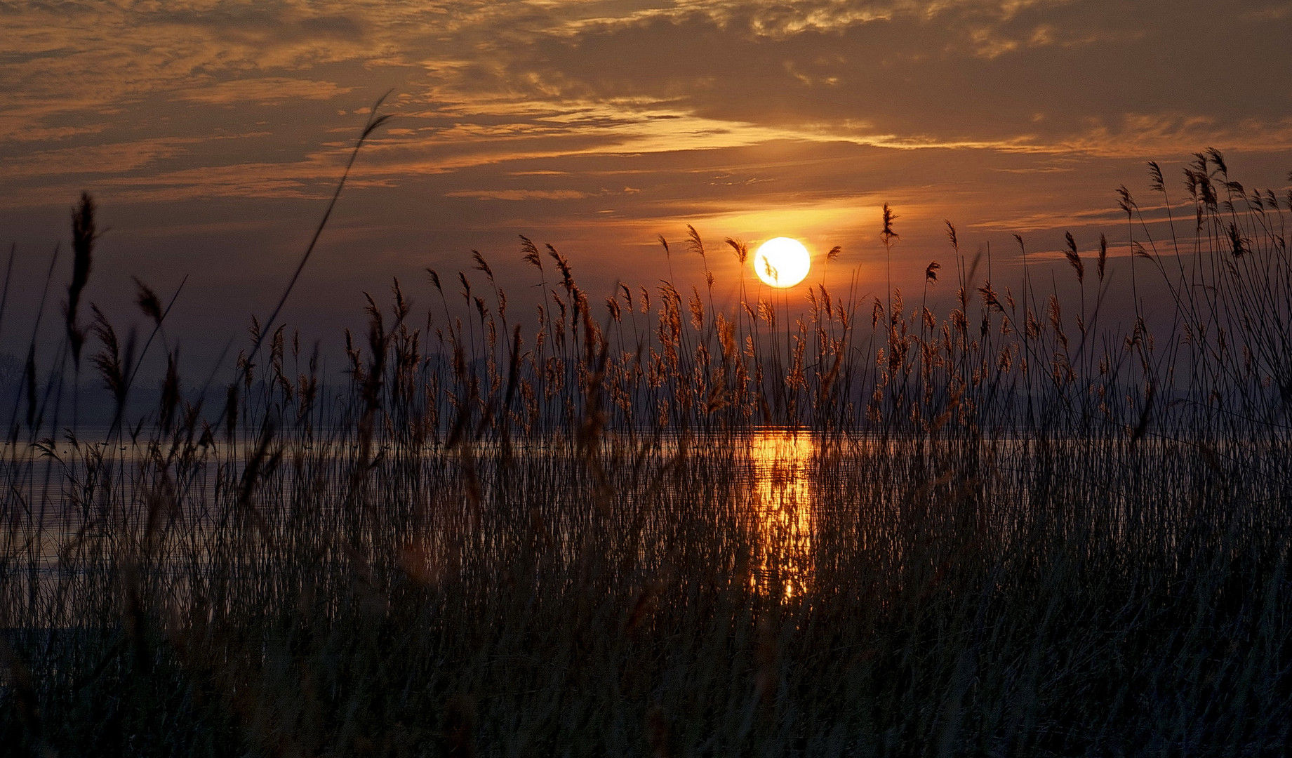 Boddenblick zum Sonnenaufgang am 20.03.2015