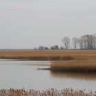 Boddengewässer an der Meiningenbrücke