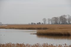 Boddengewässer an der Meiningenbrücke