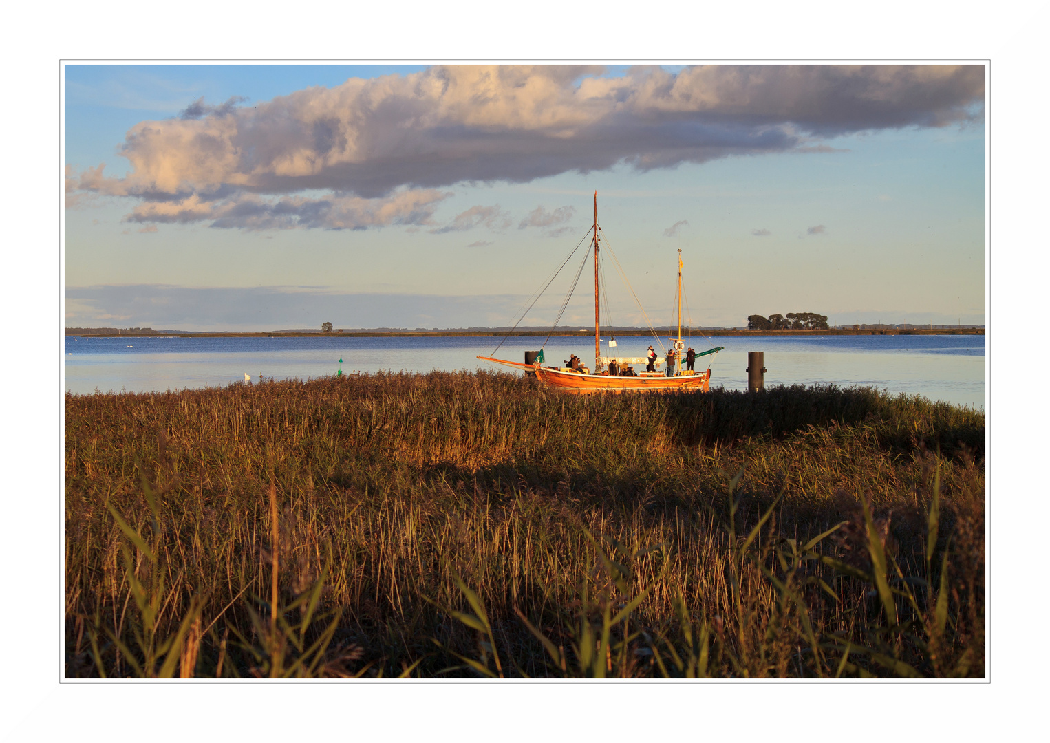 Boddenküste bei Zingst