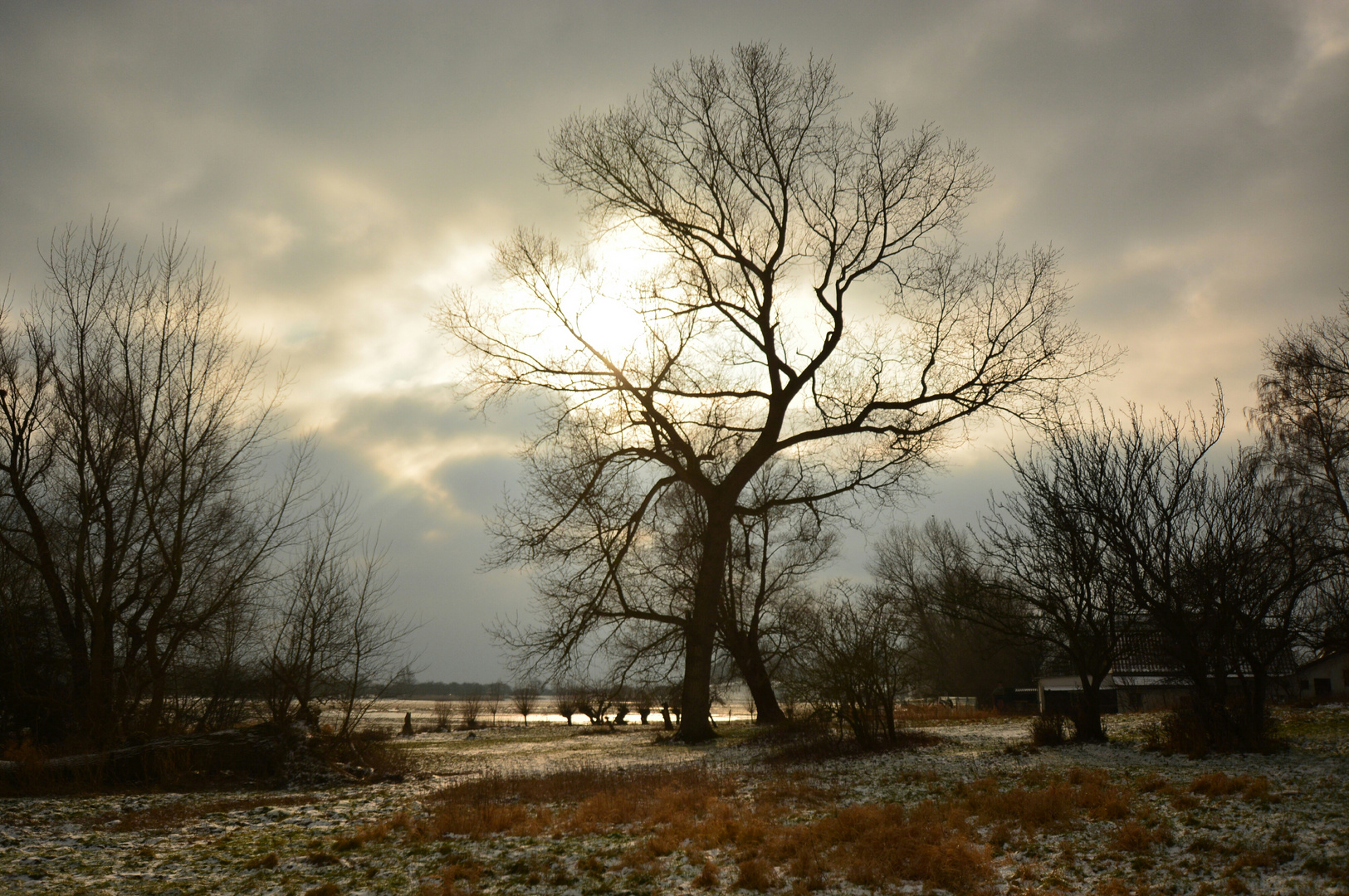 Boddenland am Enddorn