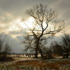 Boddenland am Enddorn