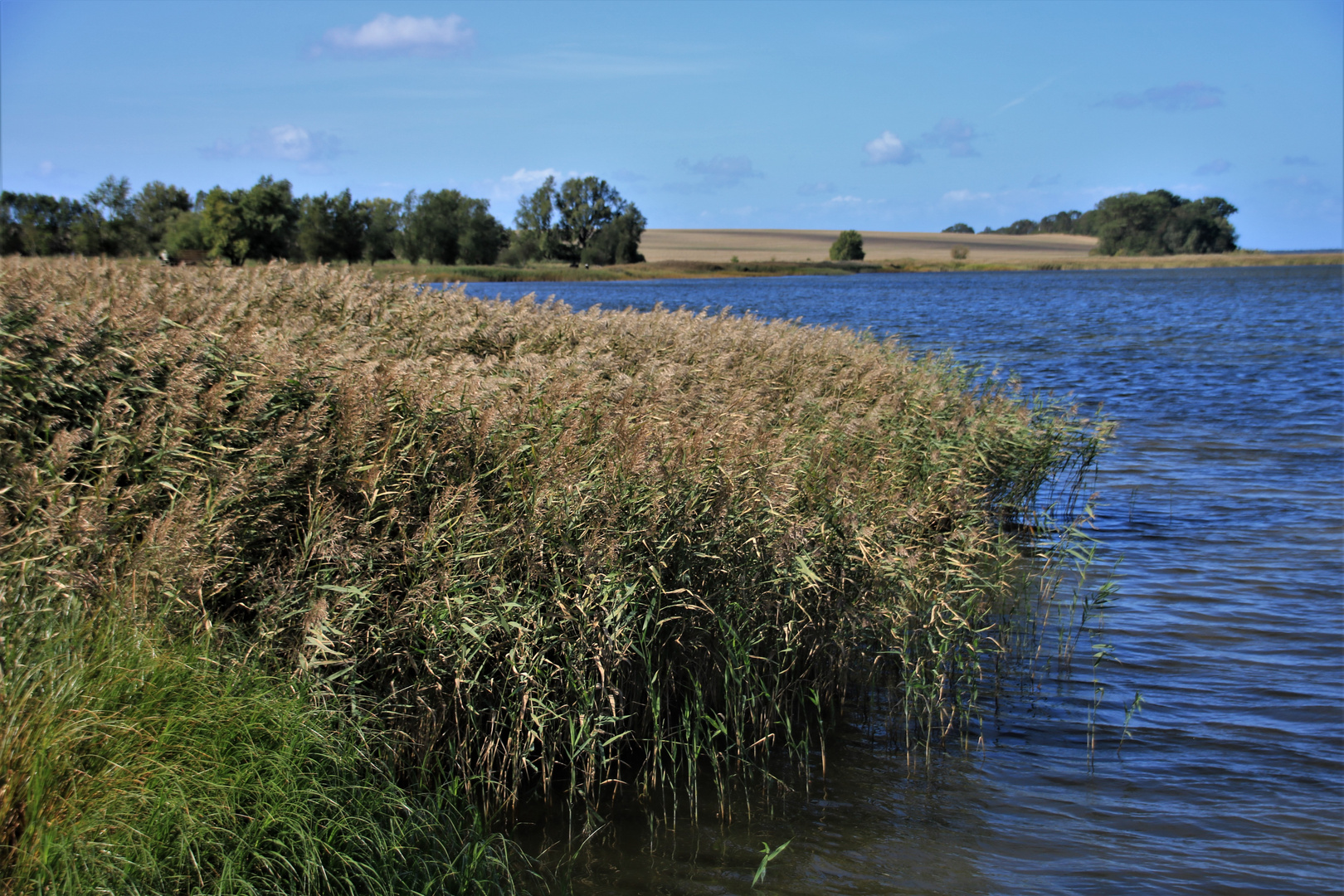 Boddenlandschaft