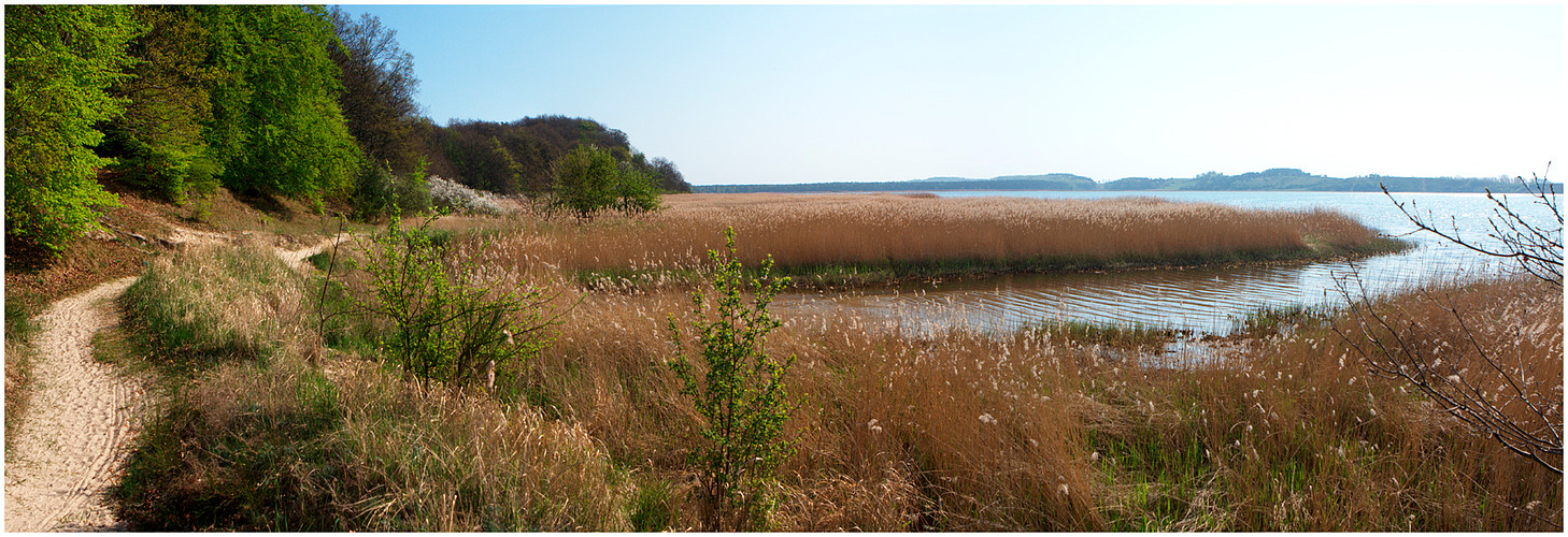 Boddenlandschaft