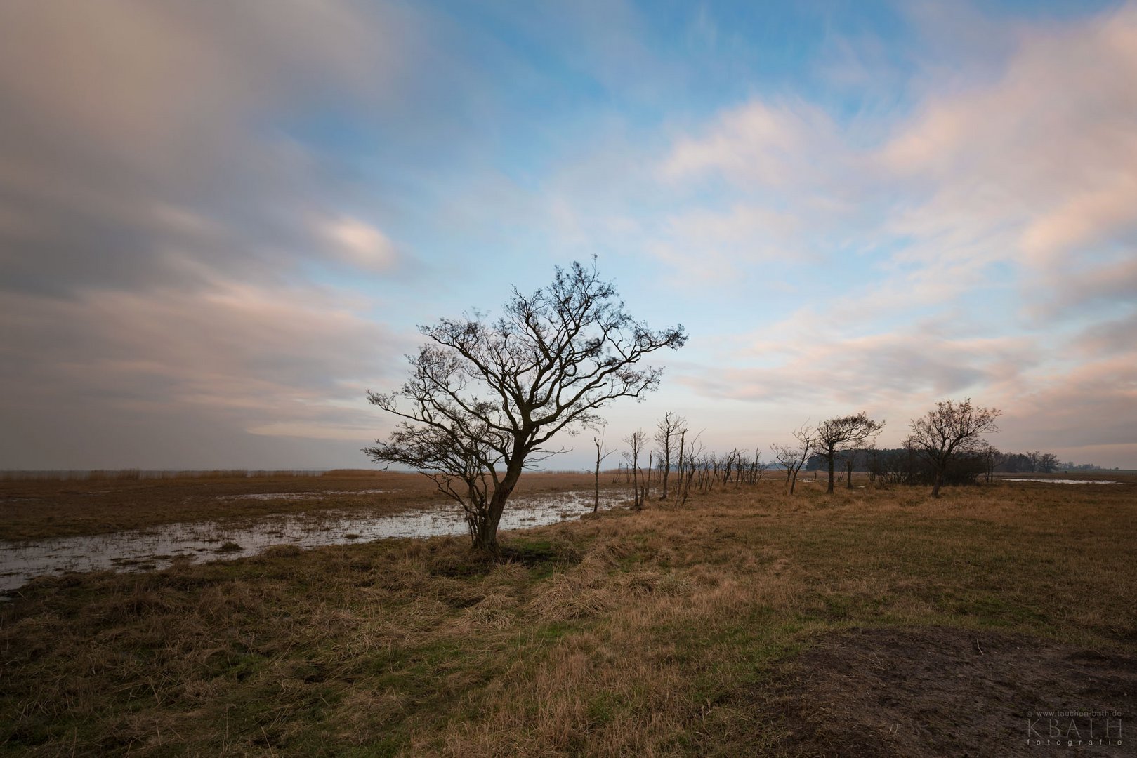 Boddenlandschaft