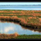 Boddenlandschaft