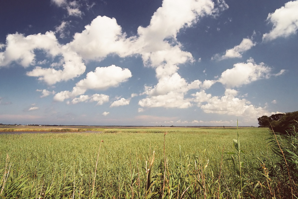 -Boddenlandschaft-