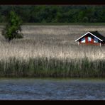 Boddenlandschaft