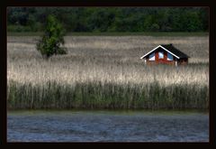 Boddenlandschaft