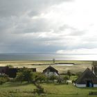 Boddenlandschaft auf Rügen