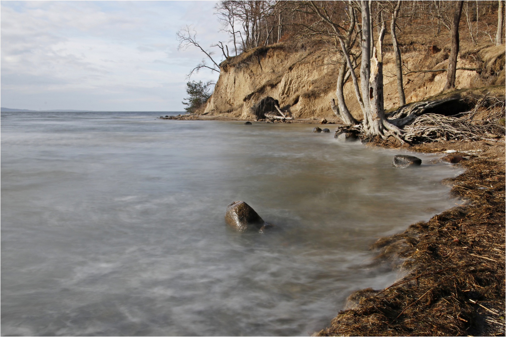 Boddenlandschaft auf Rügen