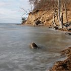 Boddenlandschaft auf Rügen