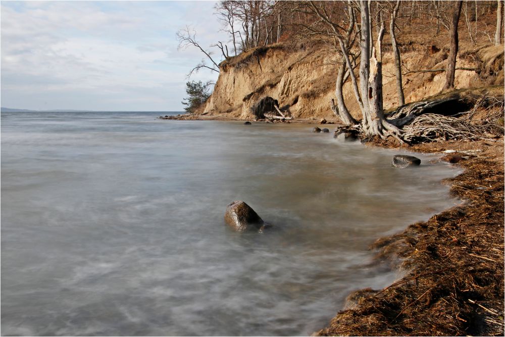 Boddenlandschaft auf Rügen