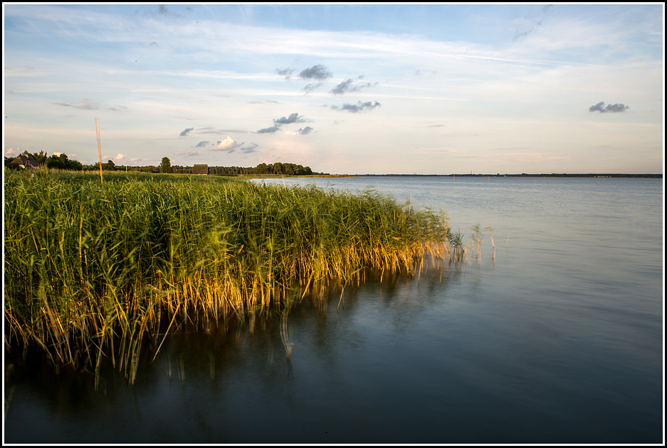 Boddenlandschaft bei Born auf dem Darß