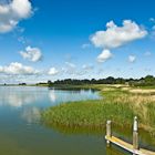 Boddenlandschaft bei Born auf der Halbinsel Fischland-Darß-Zingst