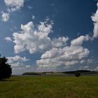 Boddenlandschaft bei Klein Zicker